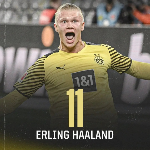 世界棒球12强赛赛事服务体系完善